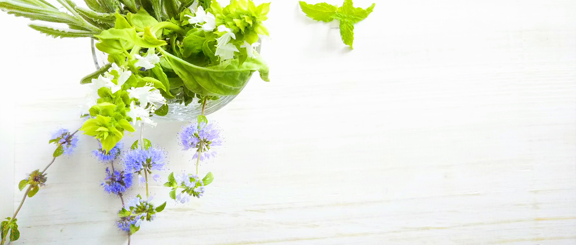 釧路市北大通、北大通4丁目停留所、調剤薬局